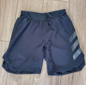 Adidas Terrex Agravic Mens Shorts
